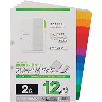 欄間Ａ　2枚セット YKK AP 玄関引き戸 れん樹 A02型 H2230mm ランマ通し 2枚建 単